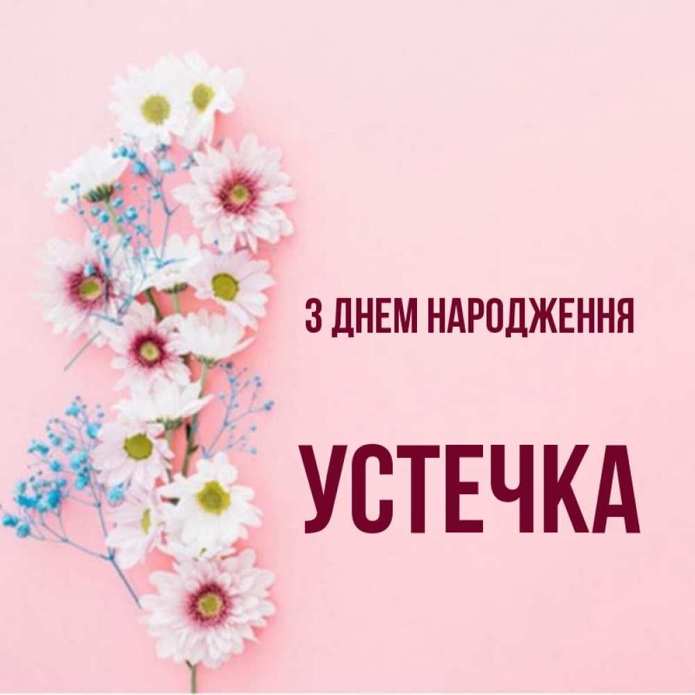 Открытка на каждый день з підписом, Устечка З Днем народження Родная моя с днем рождения тебя картинка с цветами белыми и голубыми Прикольна листівка з побажанням онлайн скачати безкоштовно 