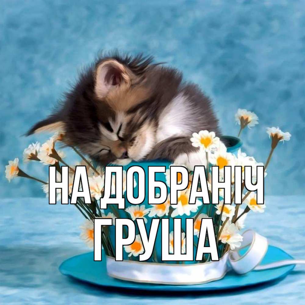 Открытка на каждый день з підписом, Груша На добраніч котенок спит в кружке с блюдцем Прикольна листівка з побажанням онлайн скачати безкоштовно 