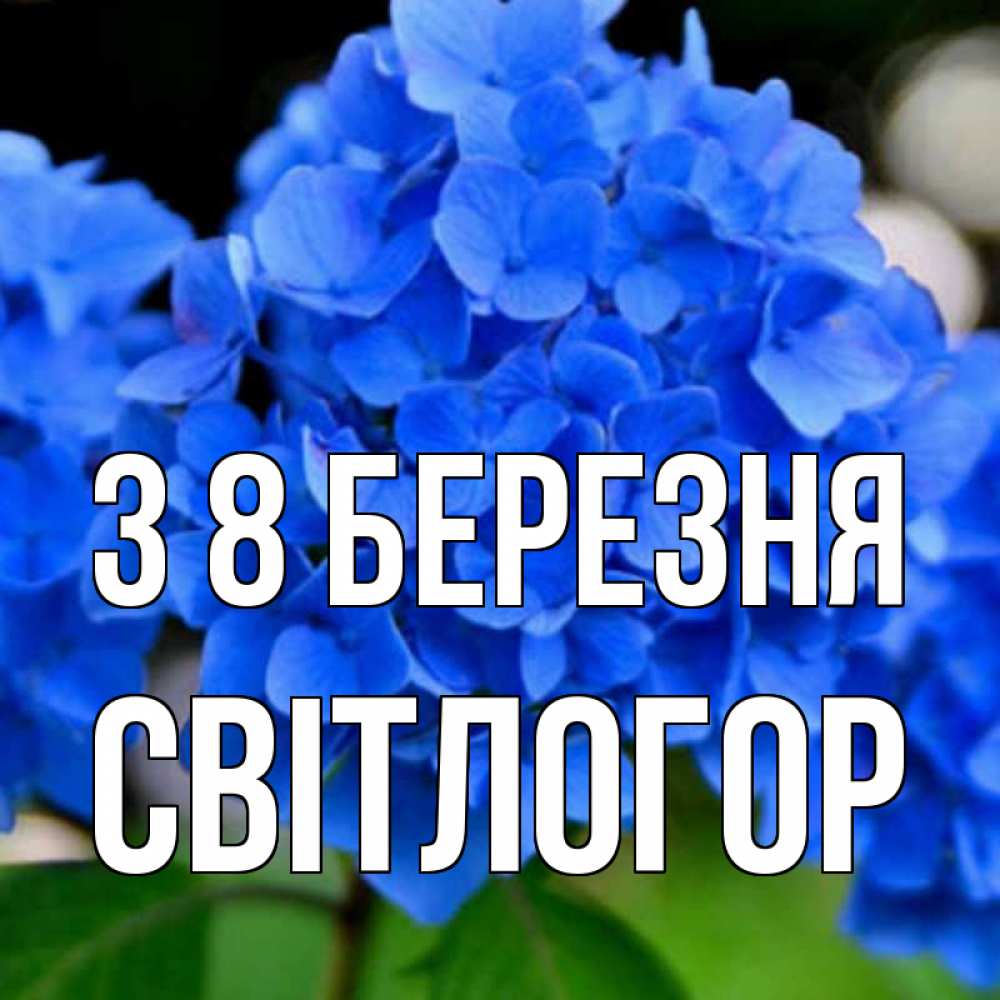 Открытка на каждый день з підписом, Світлогор З 8 БЕРЕЗНЯ синие цветы Прикольна листівка з побажанням онлайн скачати безкоштовно 
