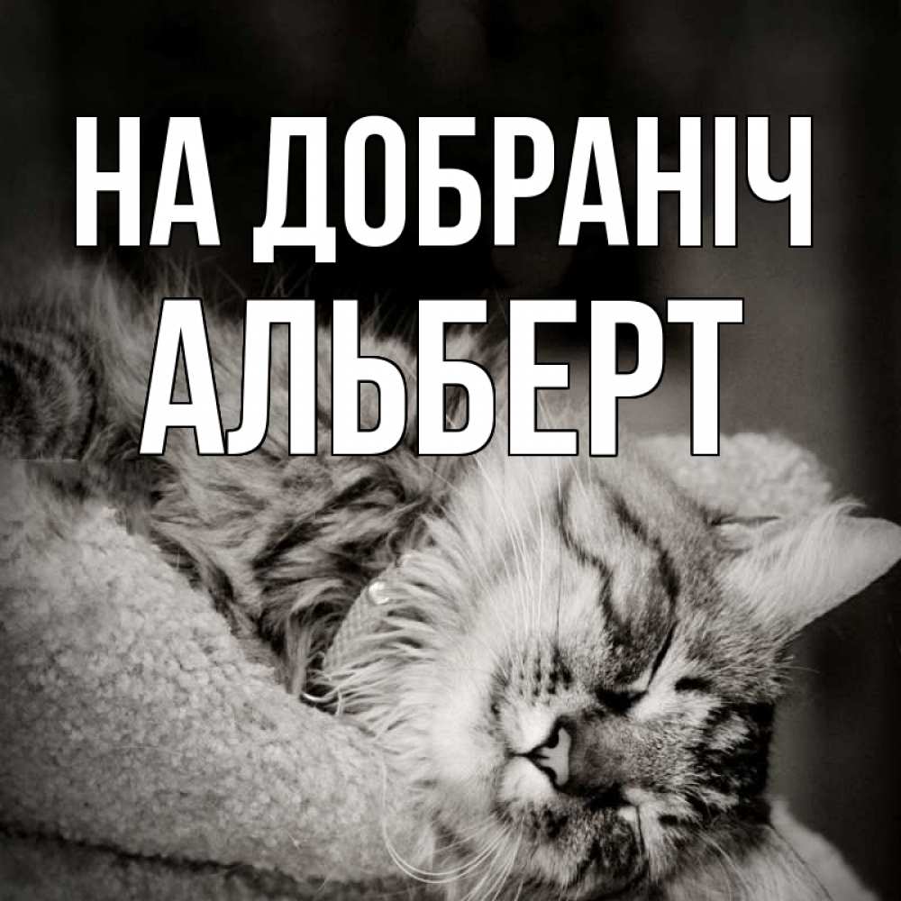 Открытка на каждый день з підписом, Альберт На добраніч котярик пушистый Прикольна листівка з побажанням онлайн скачати безкоштовно 