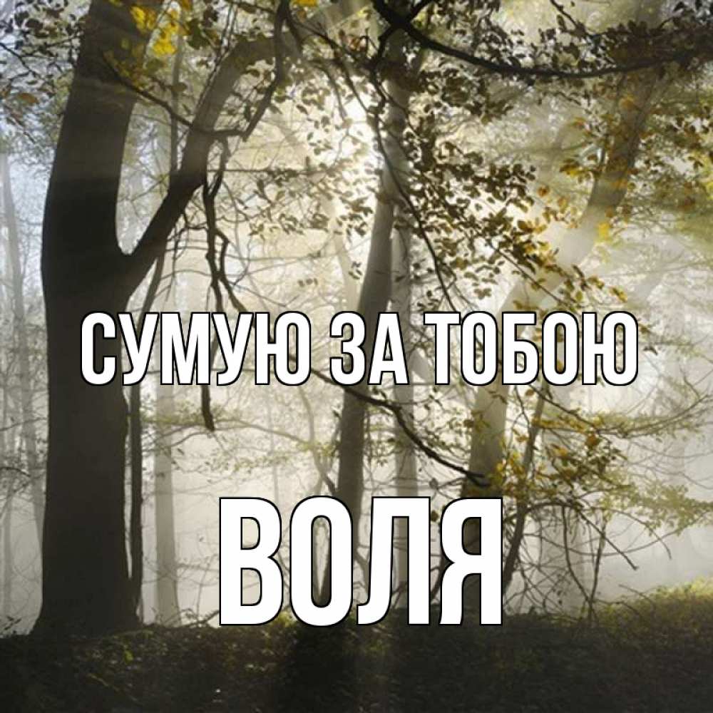 Открытка на каждый день з підписом, Воля Сумую за тобою грустно Прикольна листівка з побажанням онлайн скачати безкоштовно 