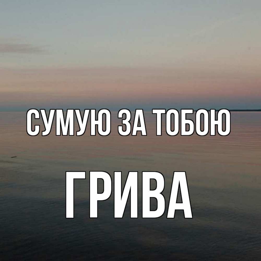 Открытка на каждый день з підписом, Грива Сумую за тобою пусто Прикольна листівка з побажанням онлайн скачати безкоштовно 