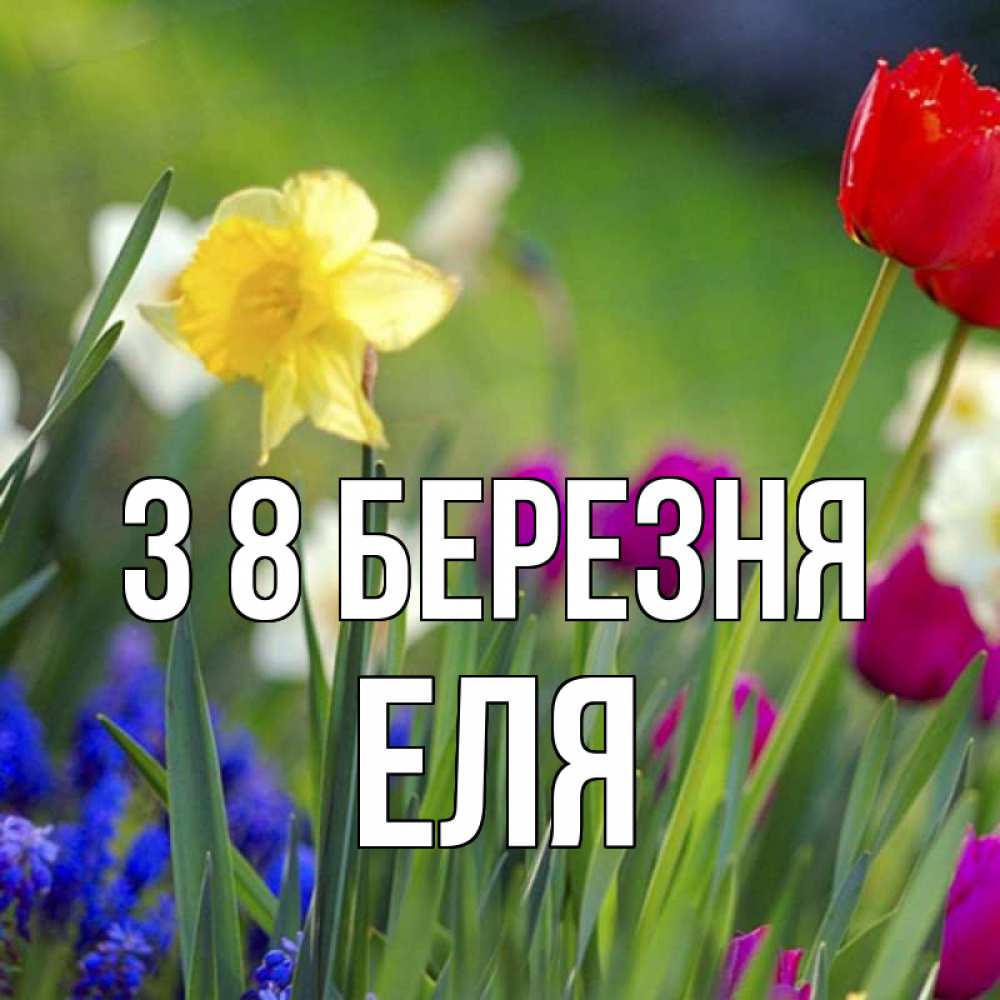 Открытка на каждый день з підписом, Еля З 8 БЕРЕЗНЯ международный женский день 3 Прикольна листівка з побажанням онлайн скачати безкоштовно 