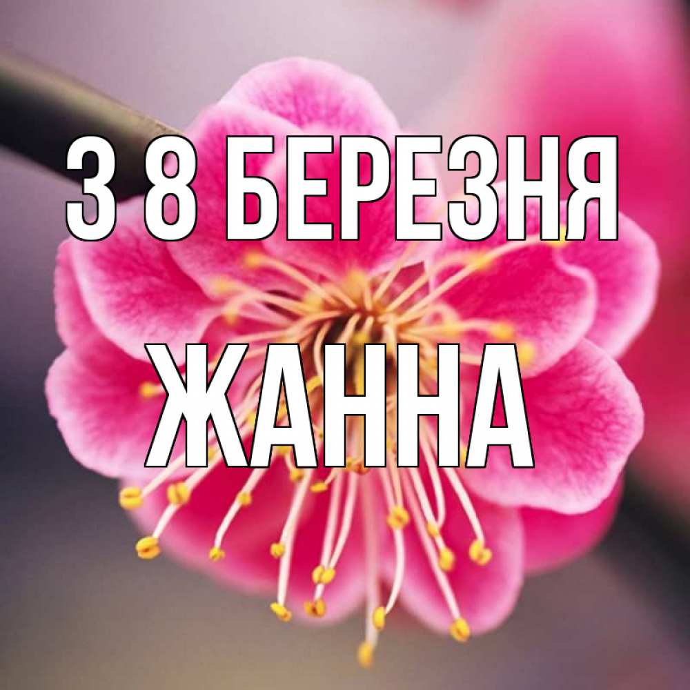 Открытка на каждый день з підписом, Жанна З 8 БЕРЕЗНЯ цветы Прикольна листівка з побажанням онлайн скачати безкоштовно 