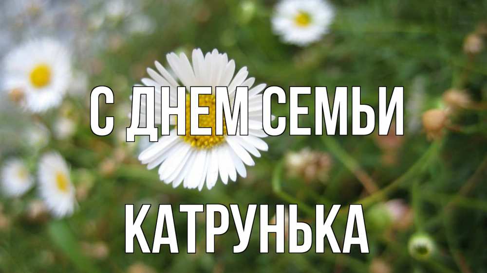 Открытка на каждый день з підписом, Катрунька С днем семьи с днем семьи Прикольна листівка з побажанням онлайн скачати безкоштовно 