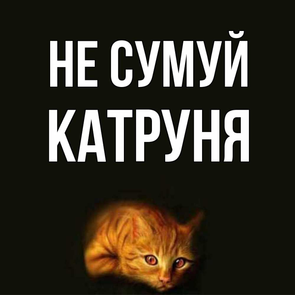 Открытка на каждый день з підписом, Катруня Не сумуй лежащий кот в темноте Прикольна листівка з побажанням онлайн скачати безкоштовно 