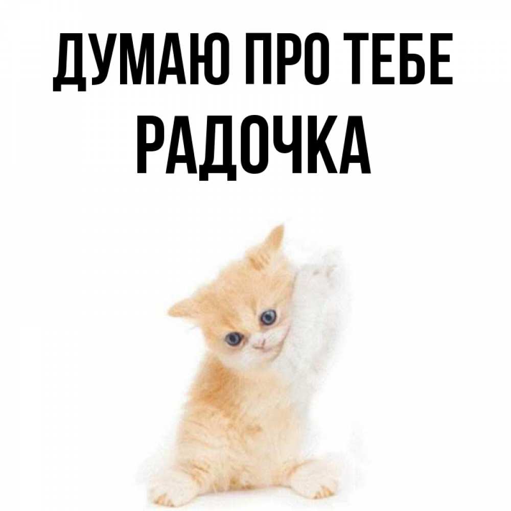 Открытка на каждый день з підписом, Радочка Думаю про тебе зверушки и милота Прикольна листівка з побажанням онлайн скачати безкоштовно 