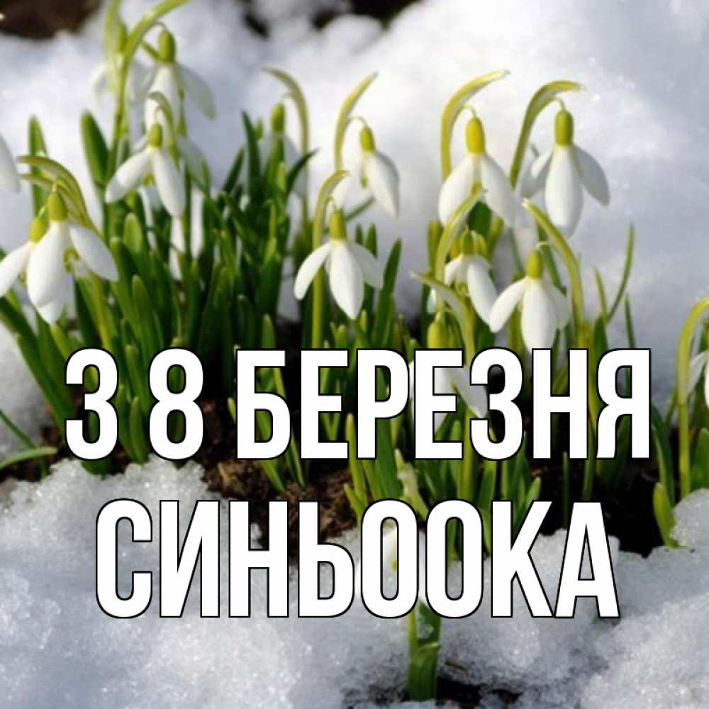 Открытка на каждый день з підписом, Синьоока З 8 БЕРЕЗНЯ цветы весенние Прикольна листівка з побажанням онлайн скачати безкоштовно 