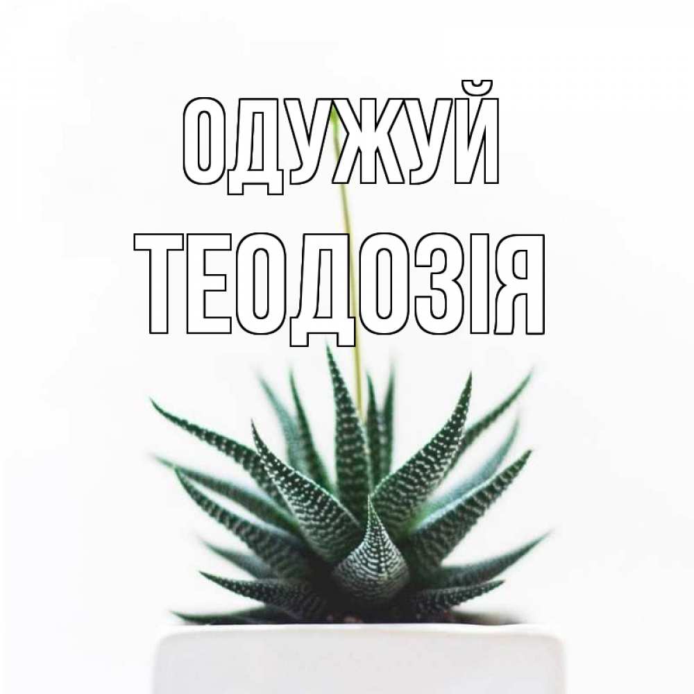 Открытка на каждый день з підписом, Теодозія Одужуй короче это непонятная колючка Прикольна листівка з побажанням онлайн скачати безкоштовно 