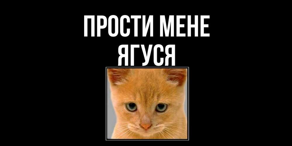 Открытка на каждый день з підписом, Ягуся Прости мене рыжий грустный кот просит прощения Прикольна листівка з побажанням онлайн скачати безкоштовно 