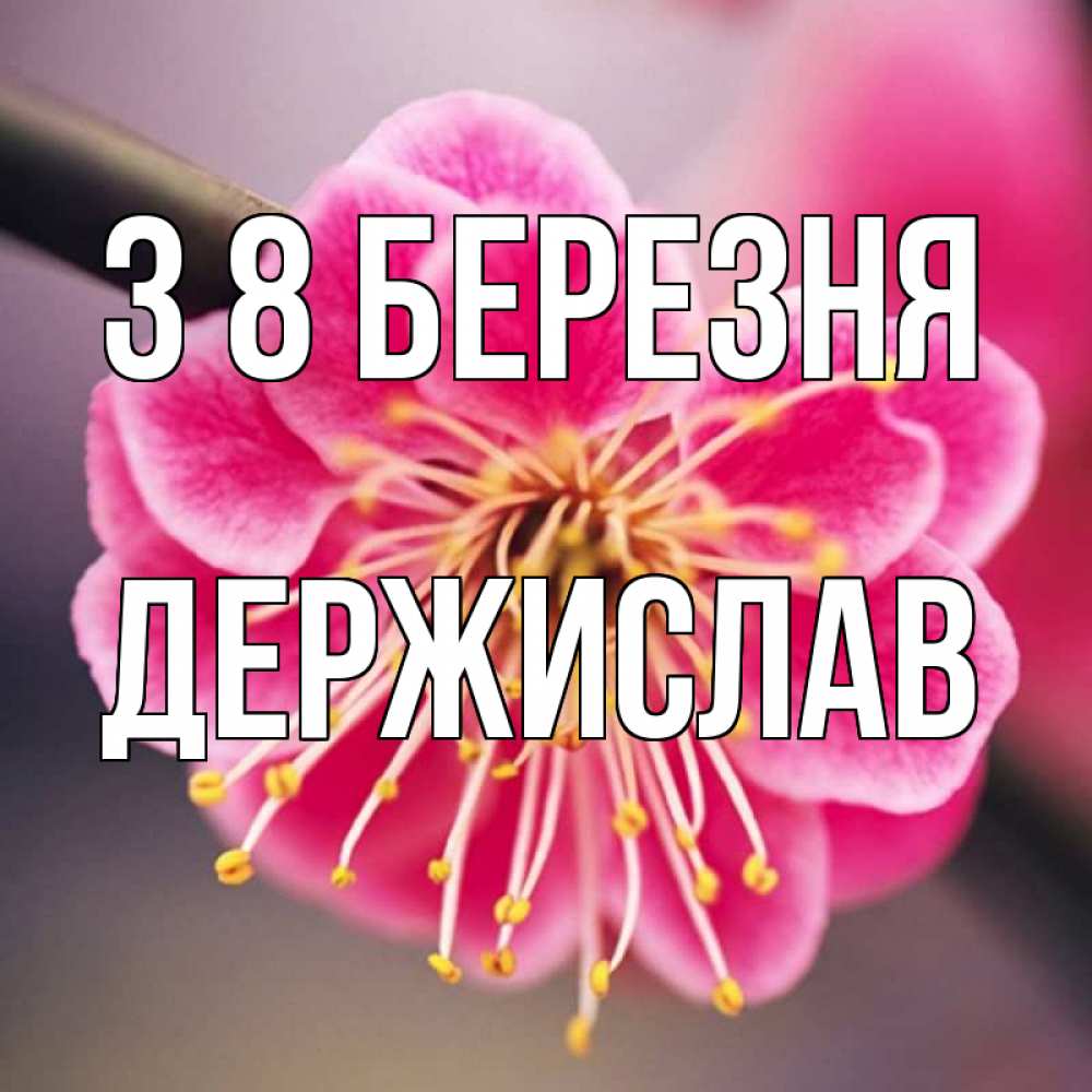 Открытка на каждый день з підписом, Держислав З 8 БЕРЕЗНЯ цветы Прикольна листівка з побажанням онлайн скачати безкоштовно 