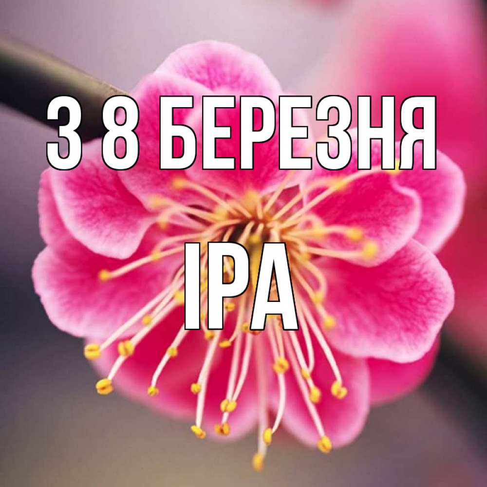 Открытка на каждый день з підписом, Іра З 8 БЕРЕЗНЯ цветы Прикольна листівка з побажанням онлайн скачати безкоштовно 