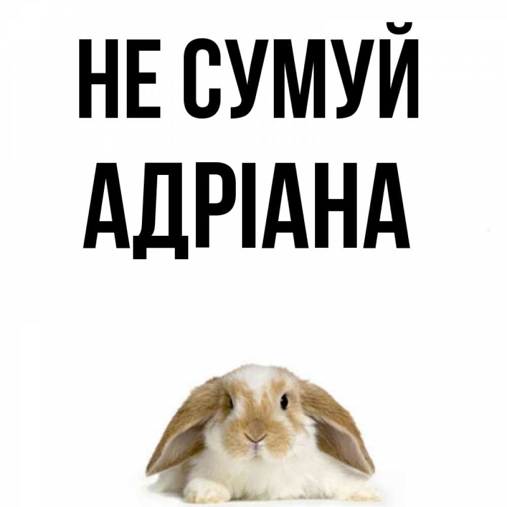 Открытка на каждый день з підписом, Адріана Не сумуй коричнево белый заяц с большими ушками Прикольна листівка з побажанням онлайн скачати безкоштовно 
