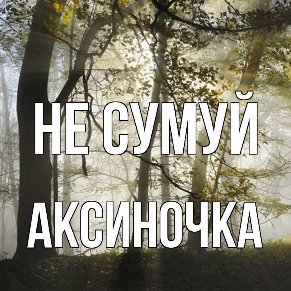 Открытка на каждый день з підписом, Аксиночка Не сумуй лес и свет Прикольна листівка з побажанням онлайн скачати безкоштовно 