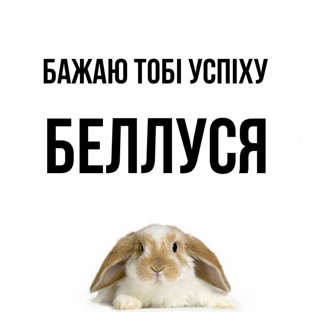 Открытка на каждый день з підписом, Беллуся Бажаю тобі успіху открытки с произвольным текстом который можно вставить в открытку и создать ее самостоятельно бесплатно онлайн Прикольна листівка з побажанням онлайн скачати безкоштовно 