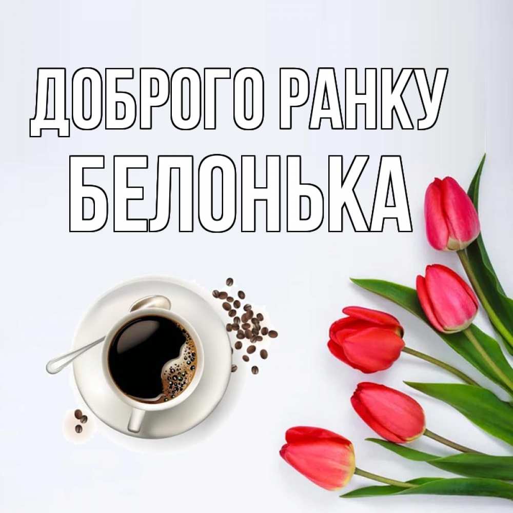 Открытка на каждый день з підписом, Белонька Доброго ранку красное блюдце Прикольна листівка з побажанням онлайн скачати безкоштовно 