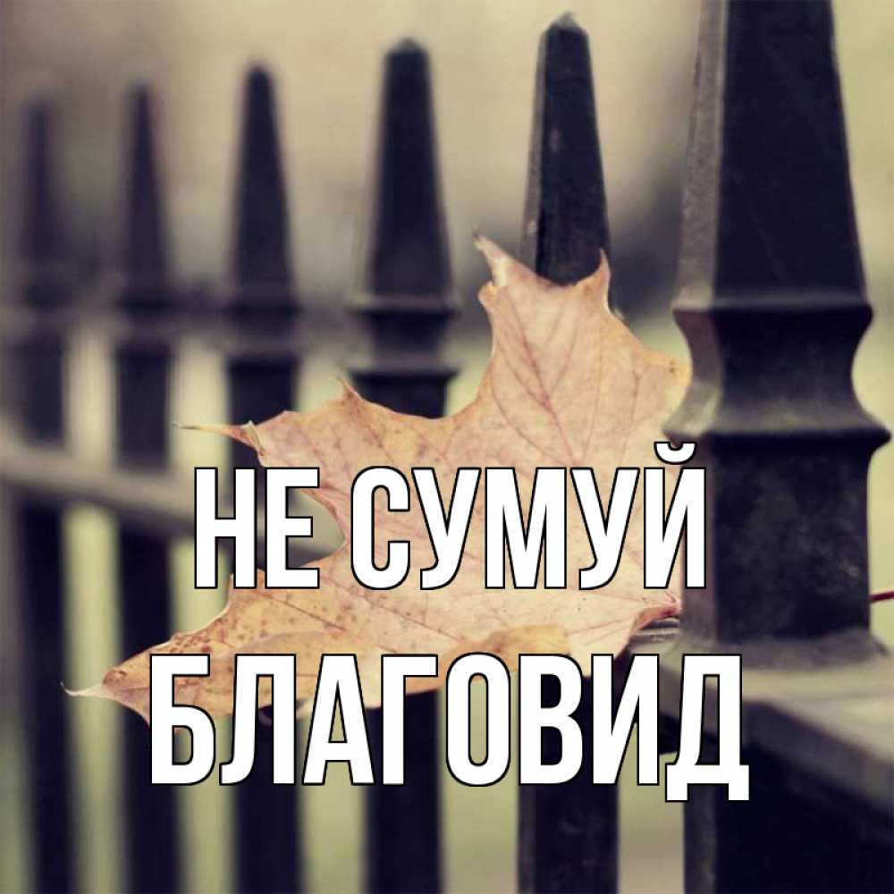 Открытка на каждый день з підписом, Благовид Не сумуй лист клена Прикольна листівка з побажанням онлайн скачати безкоштовно 