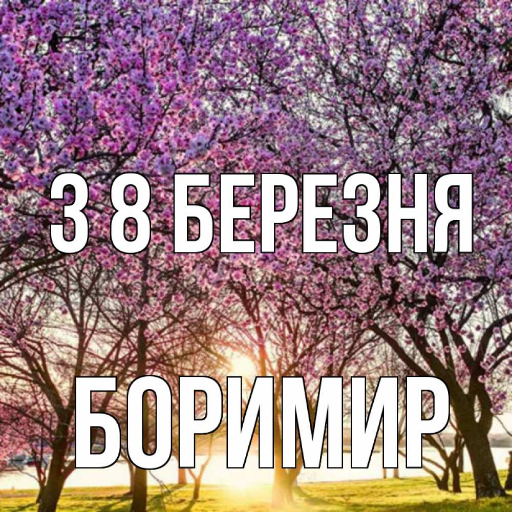 Открытка на каждый день з підписом, Боримир З 8 БЕРЕЗНЯ международный женский день Прикольна листівка з побажанням онлайн скачати безкоштовно 