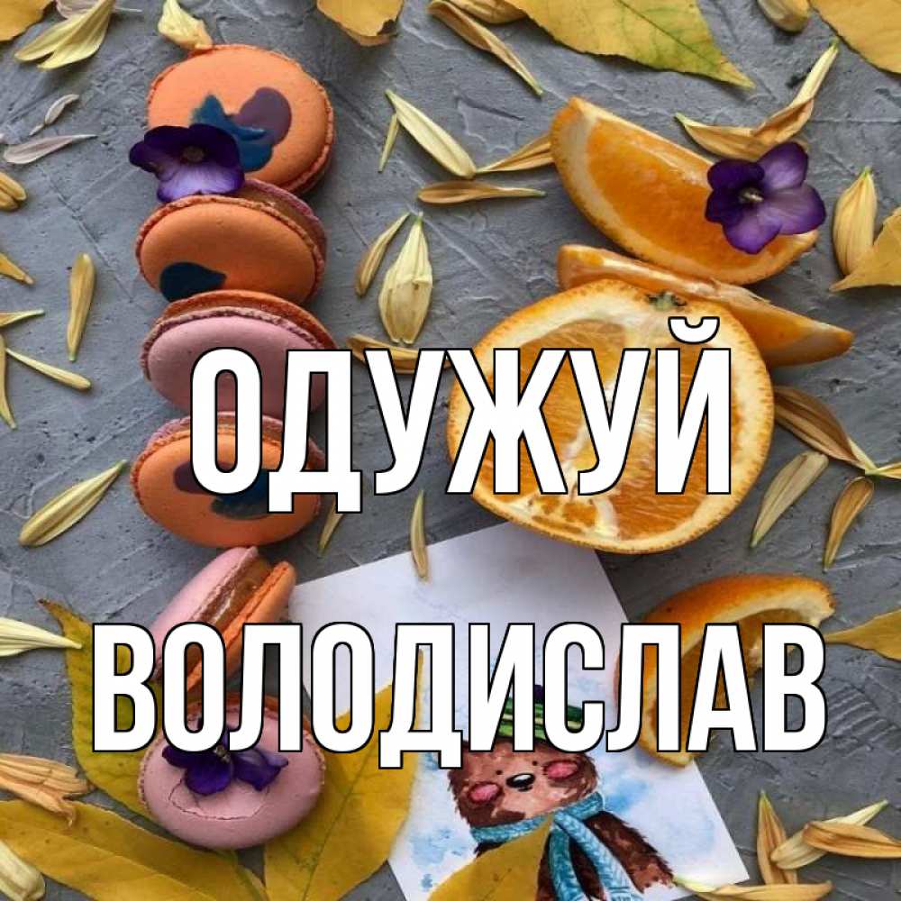 Открытка на каждый день з підписом, Володислав Одужуй не болейте Прикольна листівка з побажанням онлайн скачати безкоштовно 