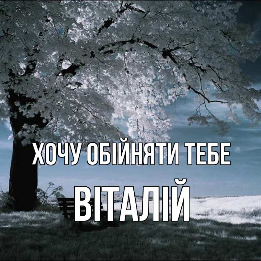 Открытка на каждый день з підписом, Віталій Хочу обійняти тебе дерево Прикольна листівка з побажанням онлайн скачати безкоштовно 