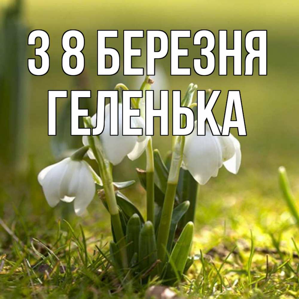 Открытка на каждый день з підписом, Геленька З 8 БЕРЕЗНЯ ранние цветы 2 Прикольна листівка з побажанням онлайн скачати безкоштовно 