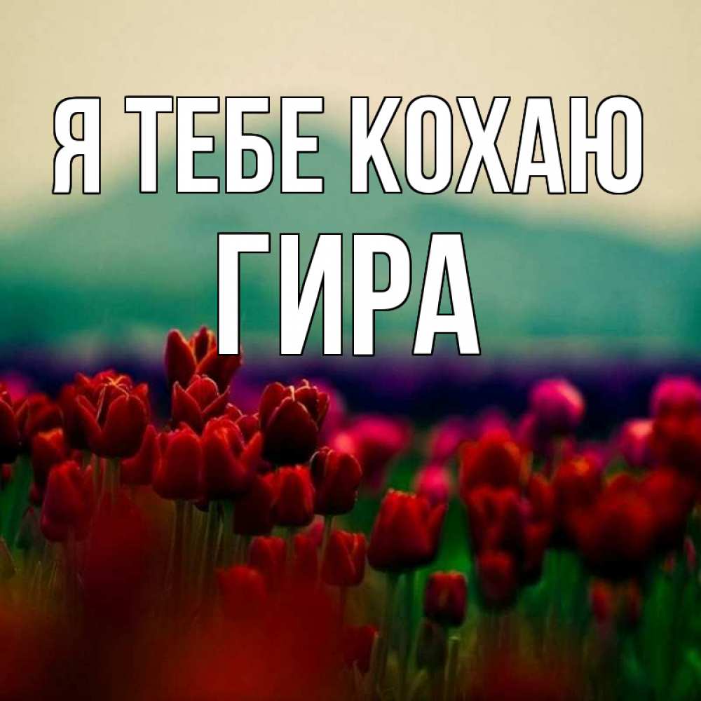 Открытка на каждый день з підписом, Гира Я тебе кохаю тюльпаны 4 Прикольна листівка з побажанням онлайн скачати безкоштовно 