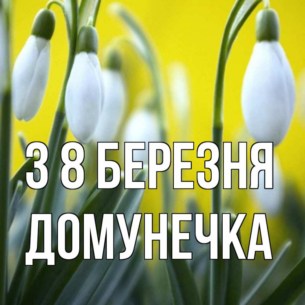 Открытка на каждый день з підписом, Домунечка З 8 БЕРЕЗНЯ весенние цветы Прикольна листівка з побажанням онлайн скачати безкоштовно 