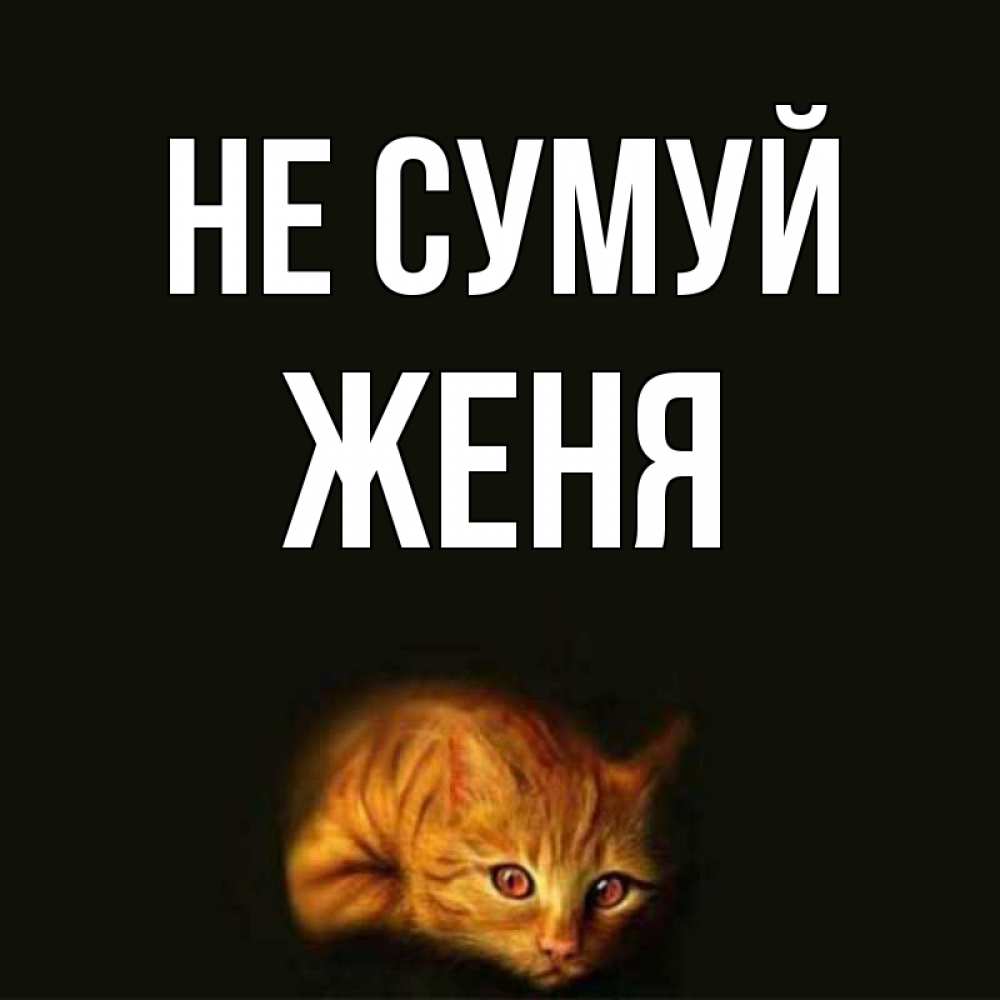 Открытка на каждый день з підписом, Женя Не сумуй лежащий кот в темноте Прикольна листівка з побажанням онлайн скачати безкоштовно 