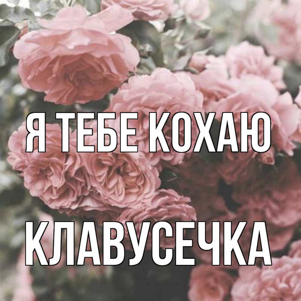 Открытка на каждый день з підписом, Клавусечка Я тебе кохаю розы 3 Прикольна листівка з побажанням онлайн скачати безкоштовно 