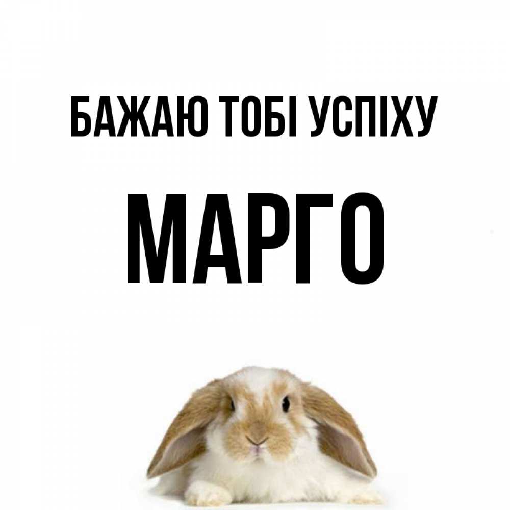 Открытка на каждый день з підписом, Марго Бажаю тобі успіху открытки с произвольным текстом который можно вставить в открытку и создать ее самостоятельно бесплатно онлайн Прикольна листівка з побажанням онлайн скачати безкоштовно 