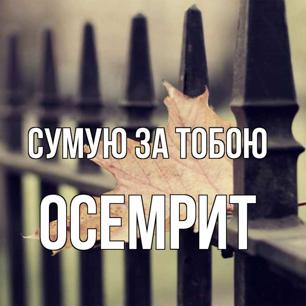 Открытка на каждый день з підписом, Осемрит Сумую за тобою очень скучно Прикольна листівка з побажанням онлайн скачати безкоштовно 