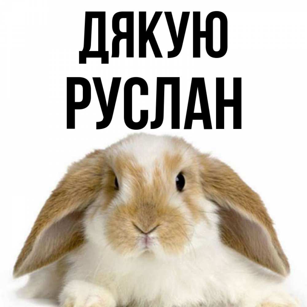 Открытка на каждый день з підписом, Руслан Дякую коричнево белый заяц Прикольна листівка з побажанням онлайн скачати безкоштовно 