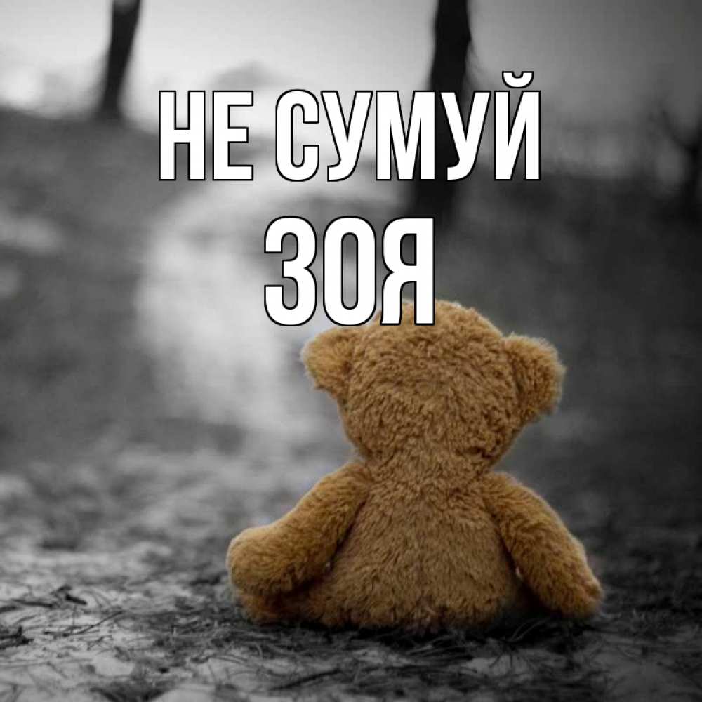 Открытка на каждый день з підписом, Зоя Не сумуй медведь со спин Прикольна листівка з побажанням онлайн скачати безкоштовно 