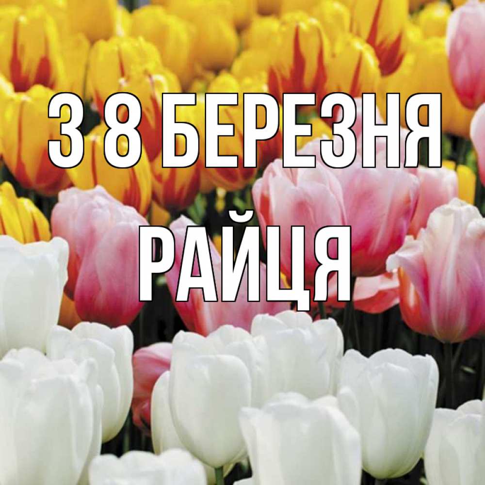 Открытка на каждый день з підписом, Райця З 8 БЕРЕЗНЯ разноцветные цветы Прикольна листівка з побажанням онлайн скачати безкоштовно 
