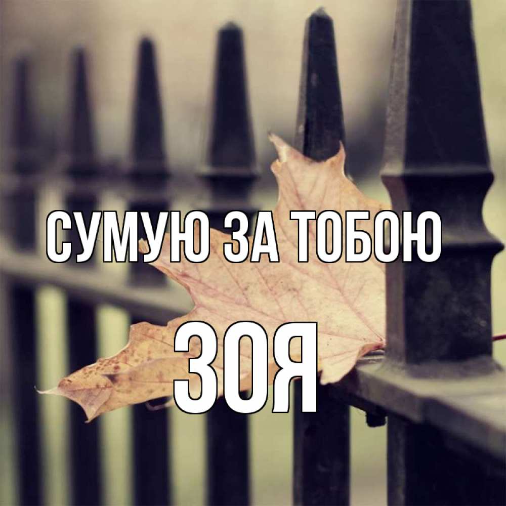 Открытка на каждый день з підписом, Зоя Сумую за тобою очень скучно Прикольна листівка з побажанням онлайн скачати безкоштовно 