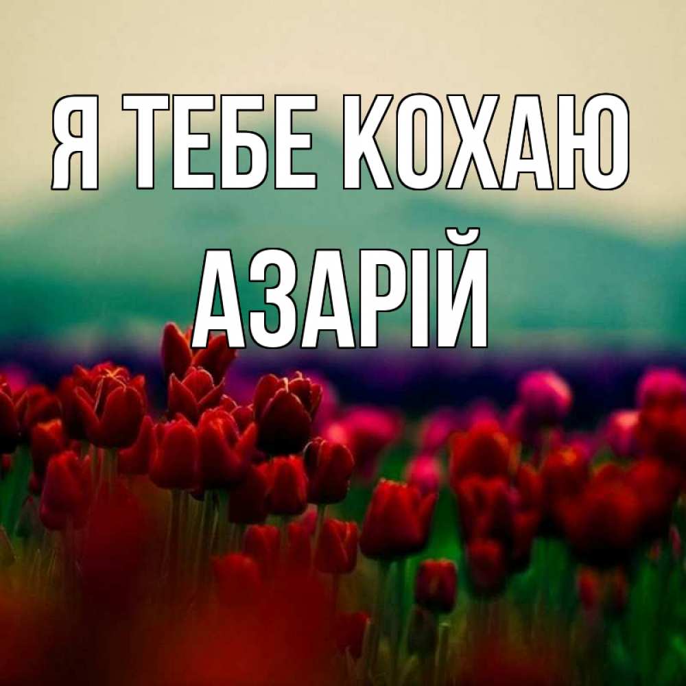 Открытка на каждый день з підписом, Азарій Я тебе кохаю тюльпаны 4 Прикольна листівка з побажанням онлайн скачати безкоштовно 