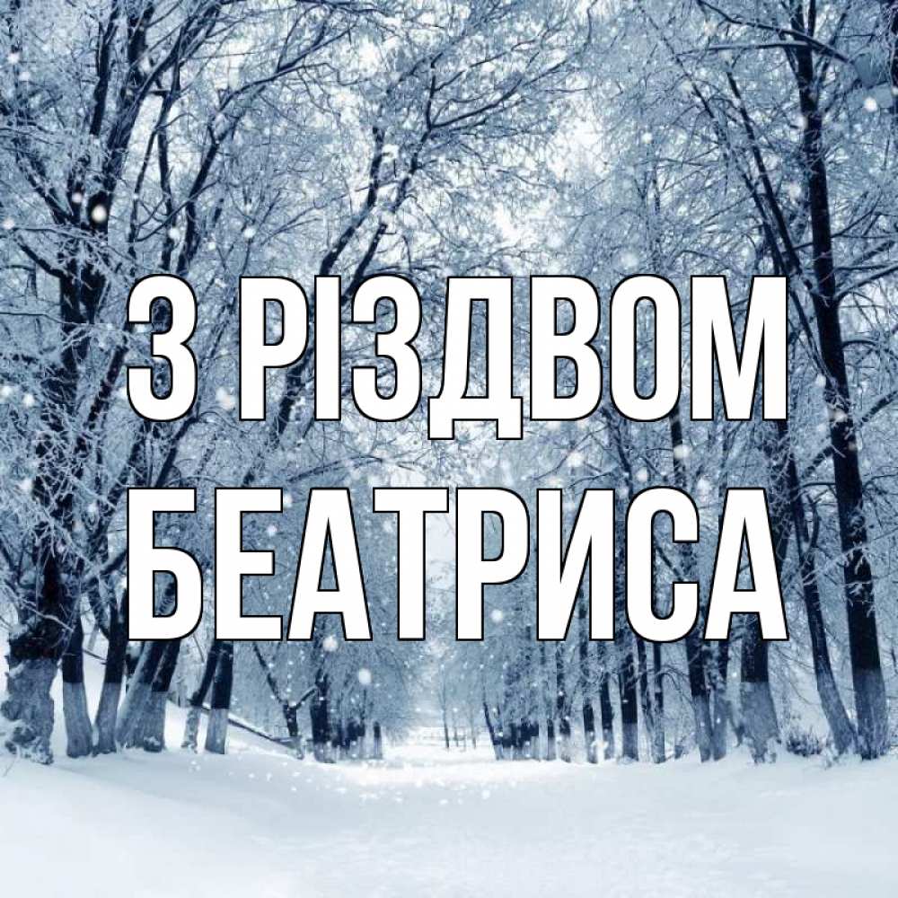 Открытка на каждый день з підписом, Беатриса З Різдвом снег, лес, парк Прикольна листівка з побажанням онлайн скачати безкоштовно 
