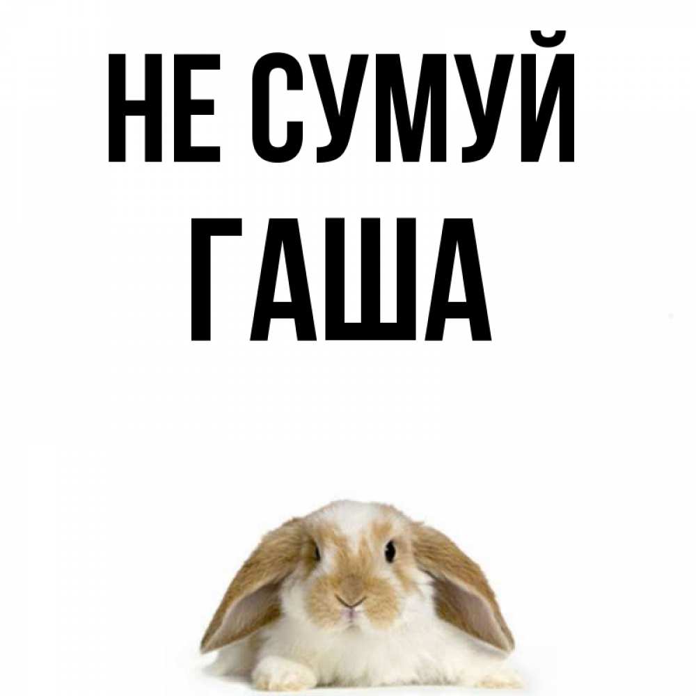 Открытка на каждый день з підписом, Гаша Не сумуй коричнево белый заяц с большими ушками Прикольна листівка з побажанням онлайн скачати безкоштовно 