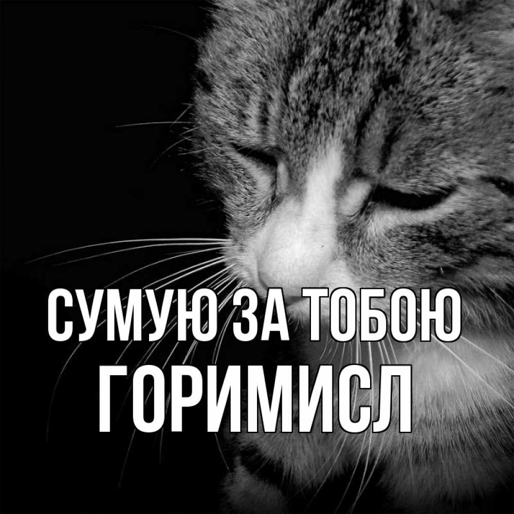 Открытка на каждый день з підписом, Горимисл Сумую за тобою мне скучно Прикольна листівка з побажанням онлайн скачати безкоштовно 