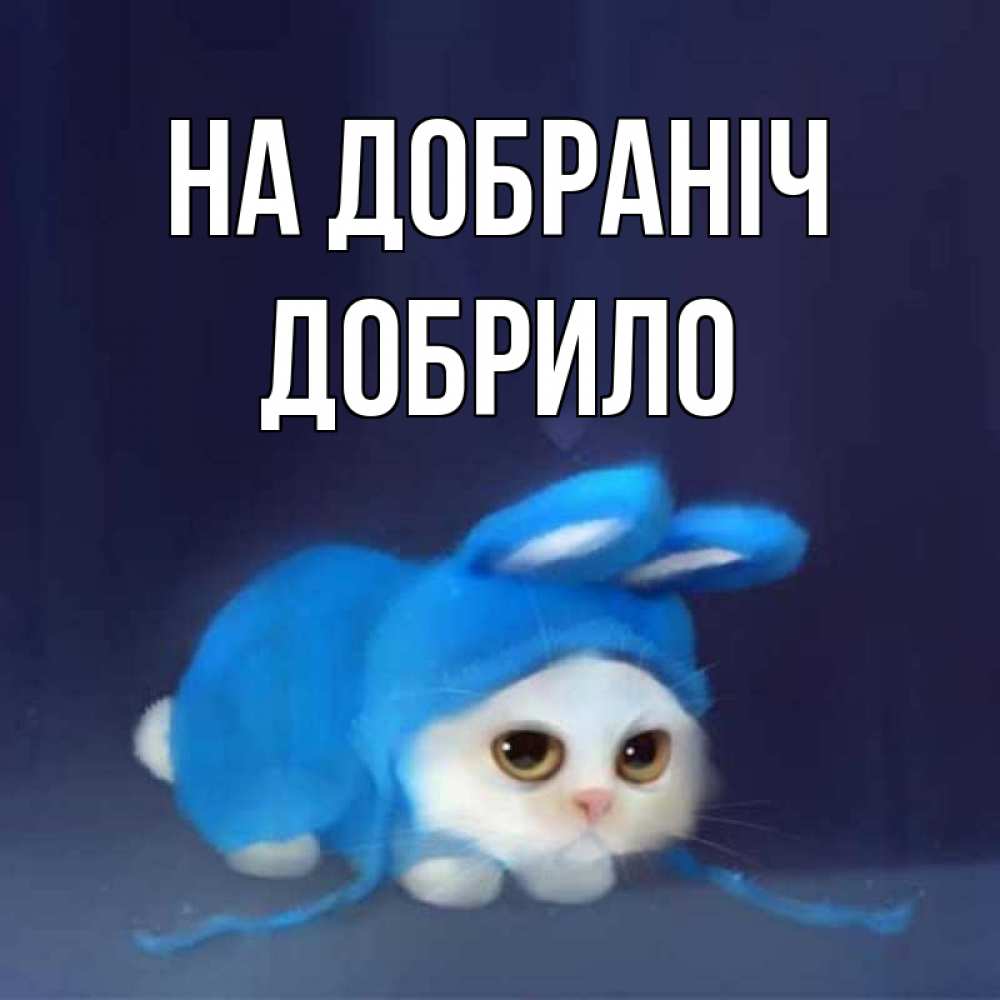 Открытка на каждый день з підписом, Добрило На добраніч кот в голубом костюме кролика с ушками Прикольна листівка з побажанням онлайн скачати безкоштовно 