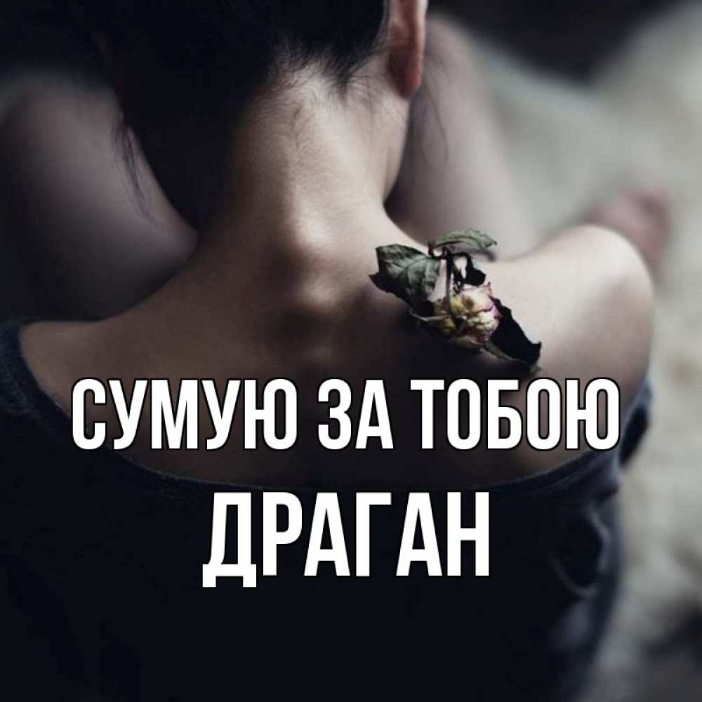 Открытка на каждый день з підписом, Драган Сумую за тобою засох цветок Прикольна листівка з побажанням онлайн скачати безкоштовно 