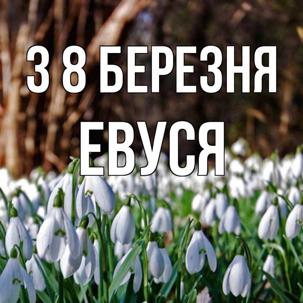 Открытка на каждый день з підписом, Евуся З 8 БЕРЕЗНЯ с подснежниками 1 Прикольна листівка з побажанням онлайн скачати безкоштовно 