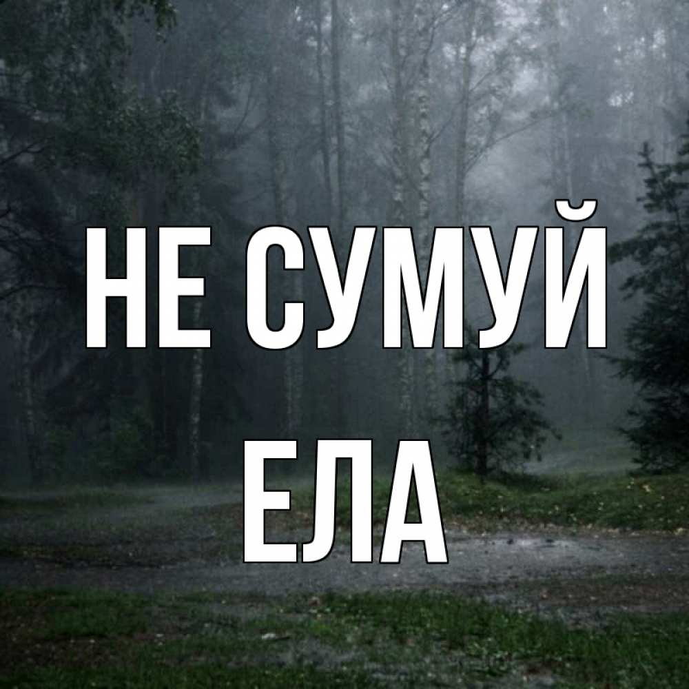 Открытка на каждый день з підписом, Ела Не сумуй осень Прикольна листівка з побажанням онлайн скачати безкоштовно 