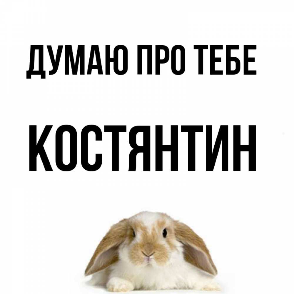 Открытка на каждый день з підписом, Костянтин Думаю про тебе подписать своими руками онлайн Прикольна листівка з побажанням онлайн скачати безкоштовно 