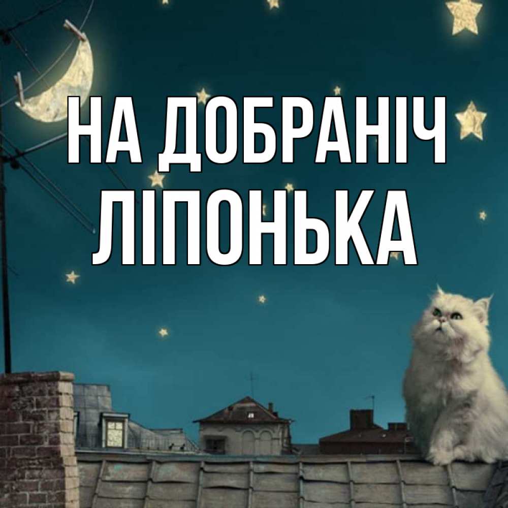 Открытка на каждый день з підписом, Ліпонька На добраніч белый кот сидит на крыше Прикольна листівка з побажанням онлайн скачати безкоштовно 