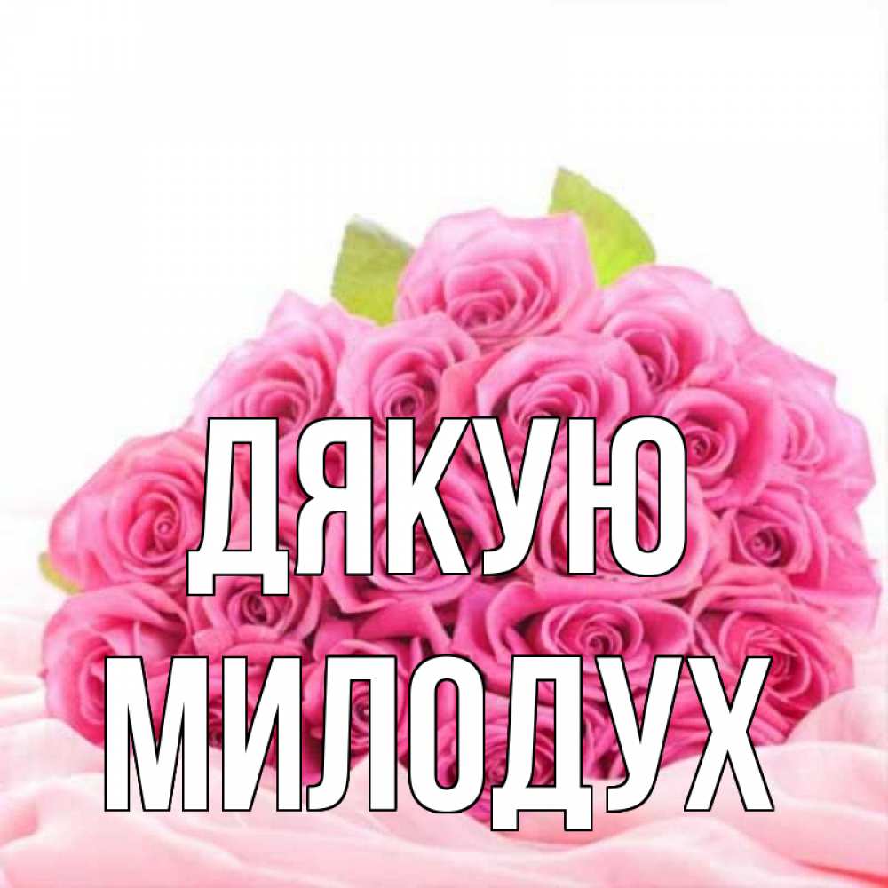 Открытка на каждый день з підписом, Милодух Дякую розовые розы с подписью Прикольна листівка з побажанням онлайн скачати безкоштовно 