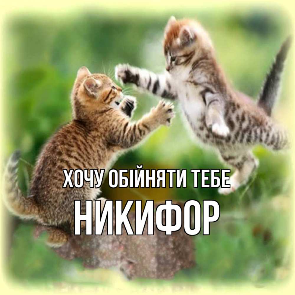 Открытка на каждый день з підписом, Никифор Хочу обійняти тебе игры котят Прикольна листівка з побажанням онлайн скачати безкоштовно 