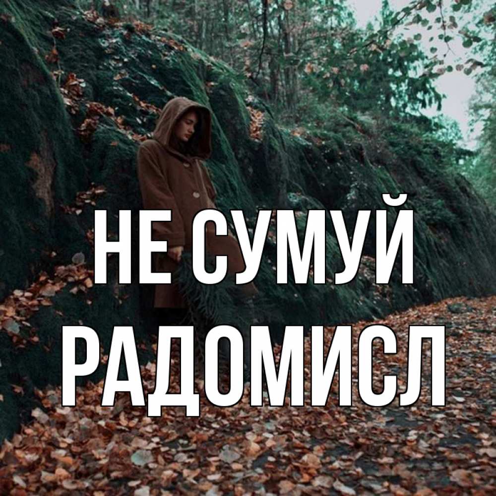 Открытка на каждый день з підписом, Радомисл Не сумуй осенний лес Прикольна листівка з побажанням онлайн скачати безкоштовно 