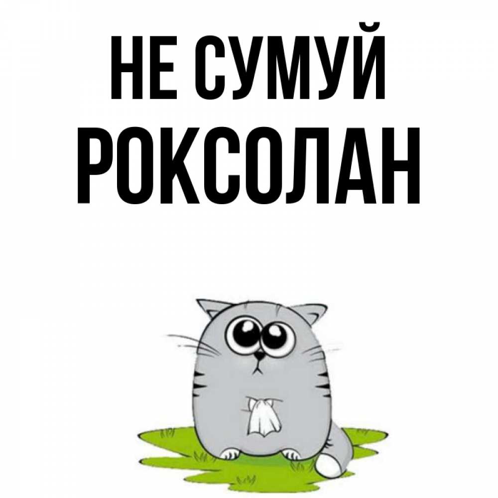 Открытка на каждый день з підписом, Роксолан Не сумуй грустный котяра Прикольна листівка з побажанням онлайн скачати безкоштовно 