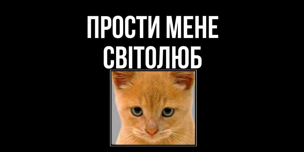 Открытка на каждый день з підписом, Світолюб Прости мене рыжий грустный кот просит прощения Прикольна листівка з побажанням онлайн скачати безкоштовно 